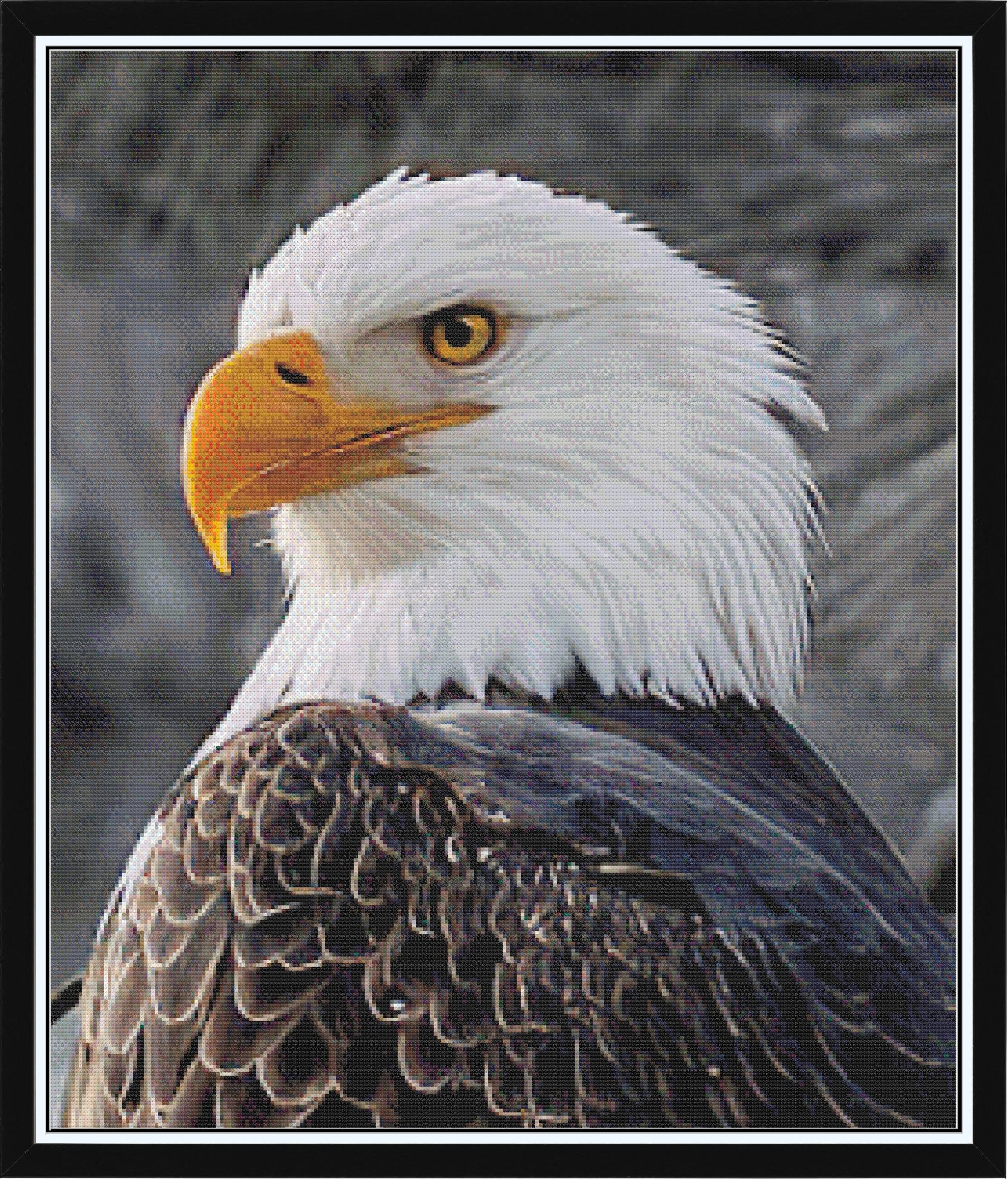 America Strong med