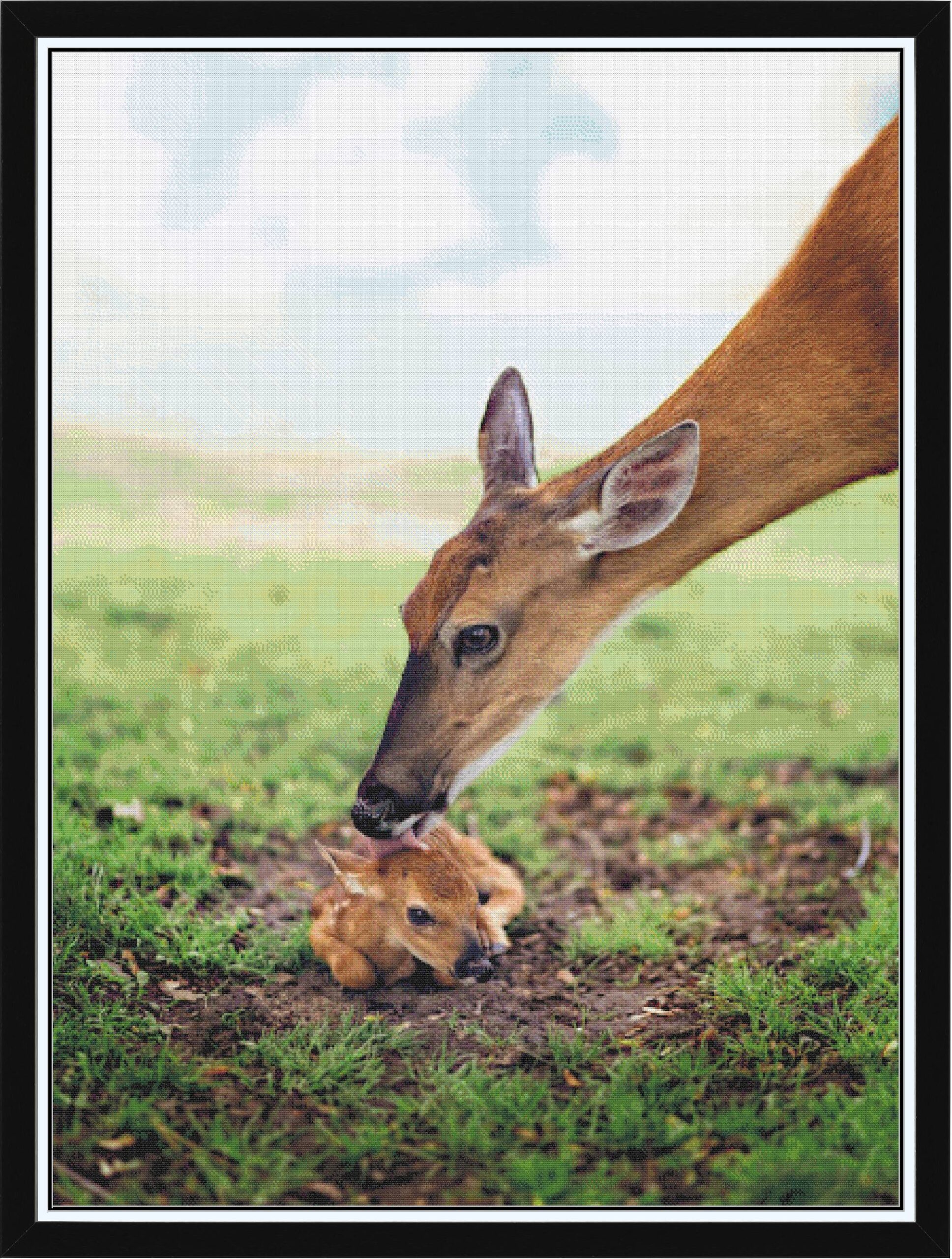 Doe and Fawn