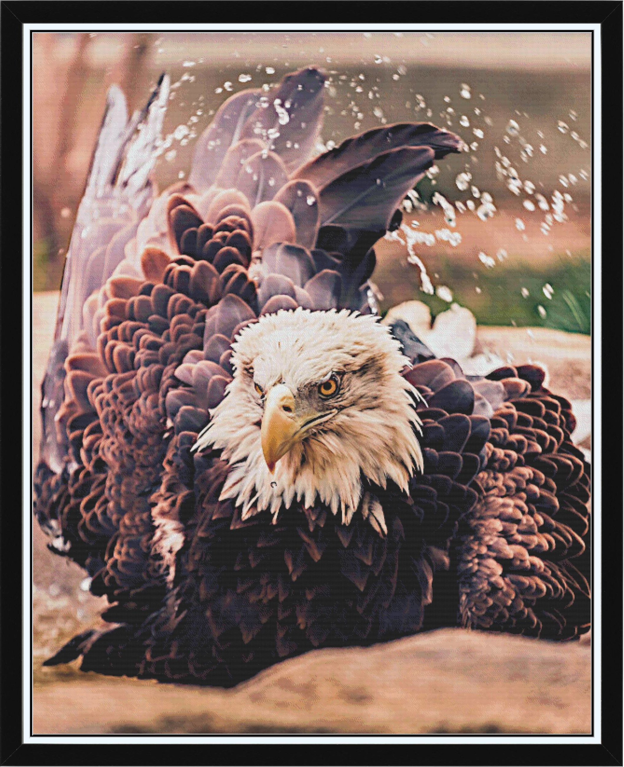 Eagle Bath med