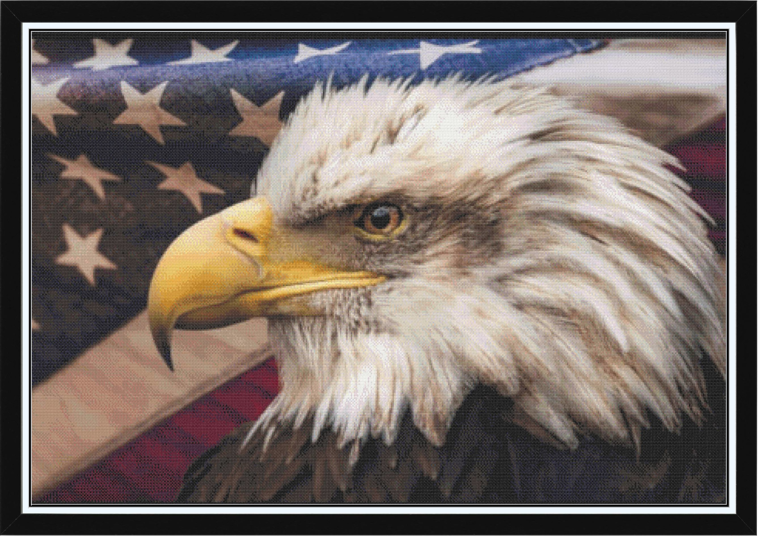 Eagle and Flag med.