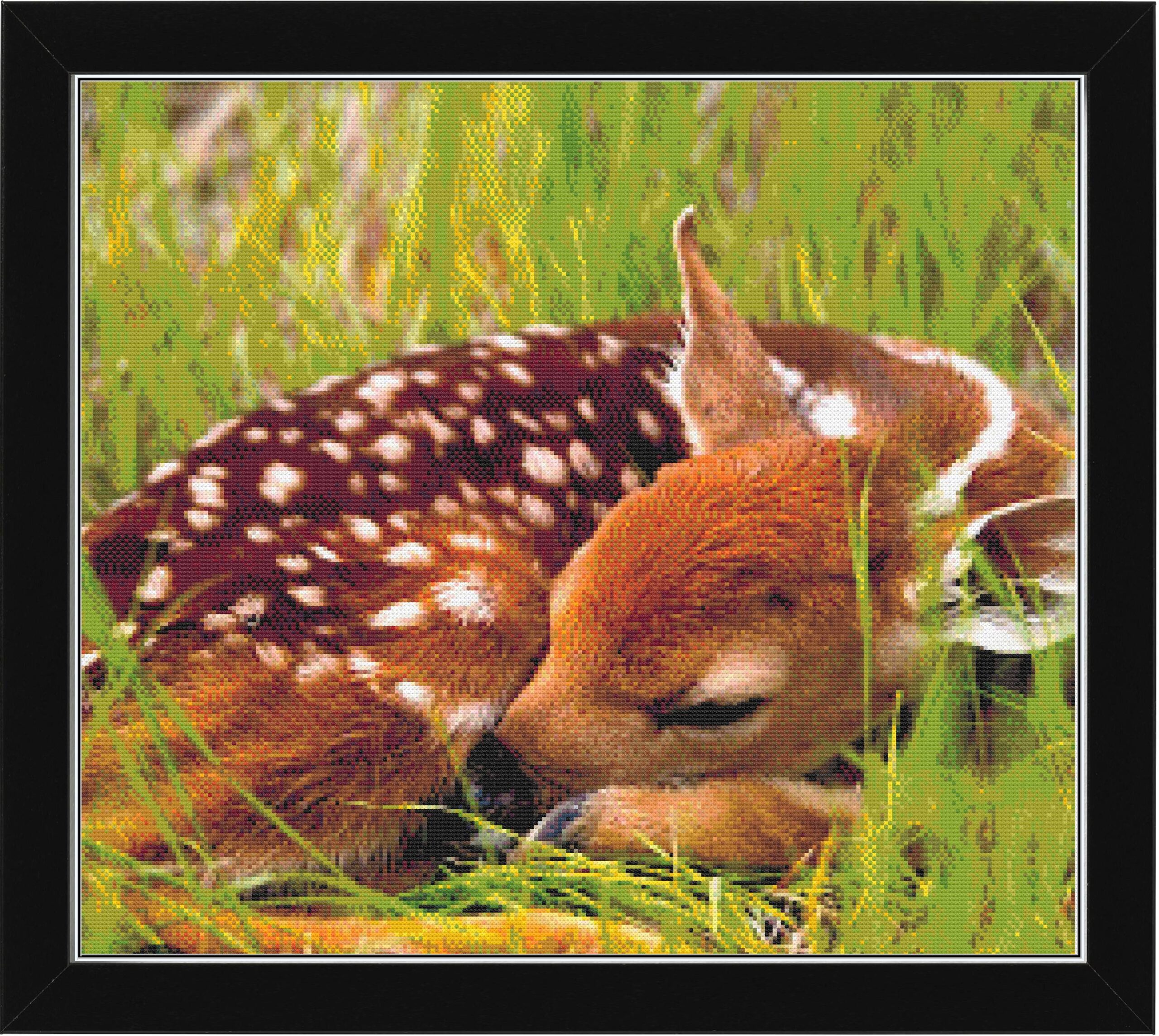 Fawn