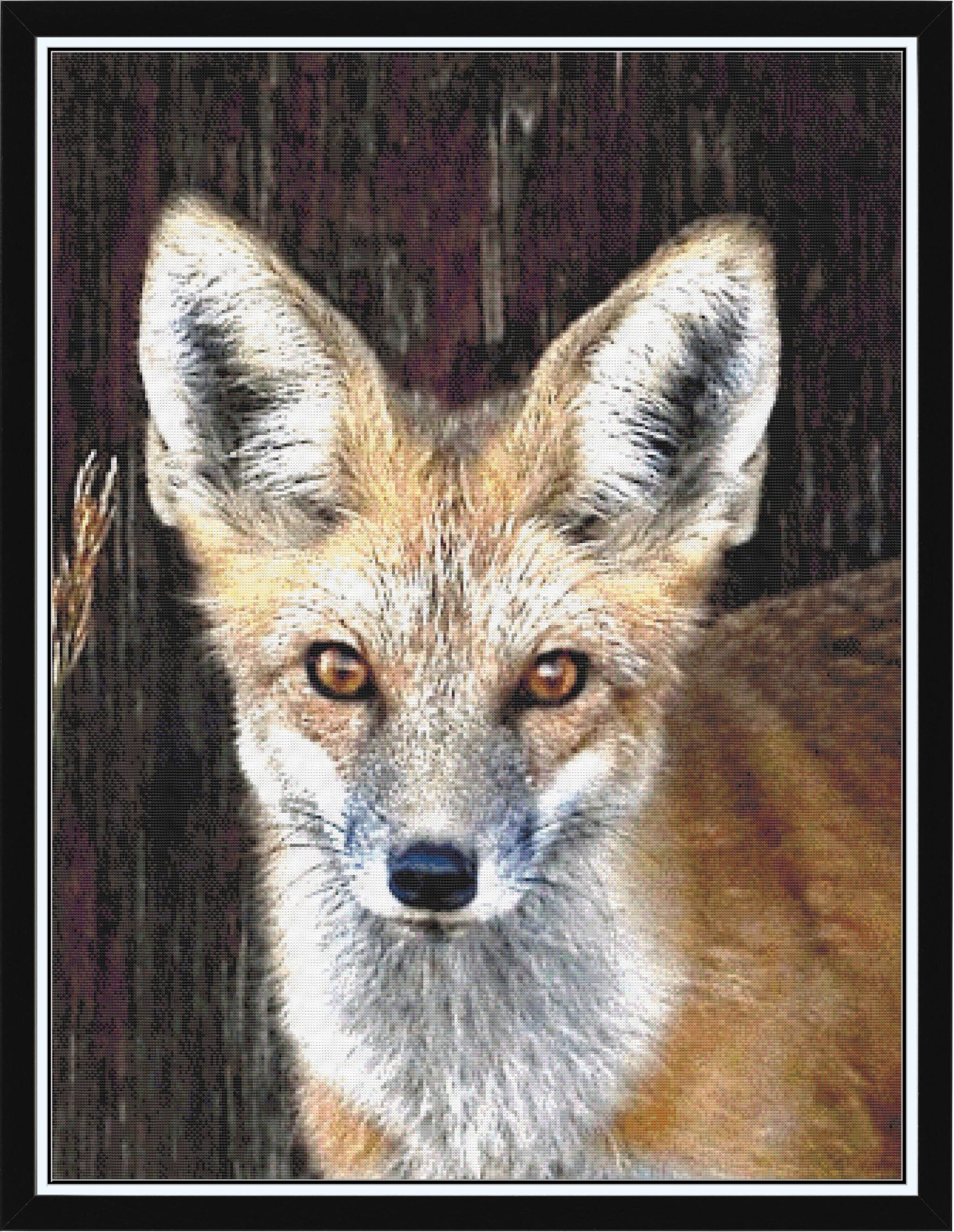 Fox Head