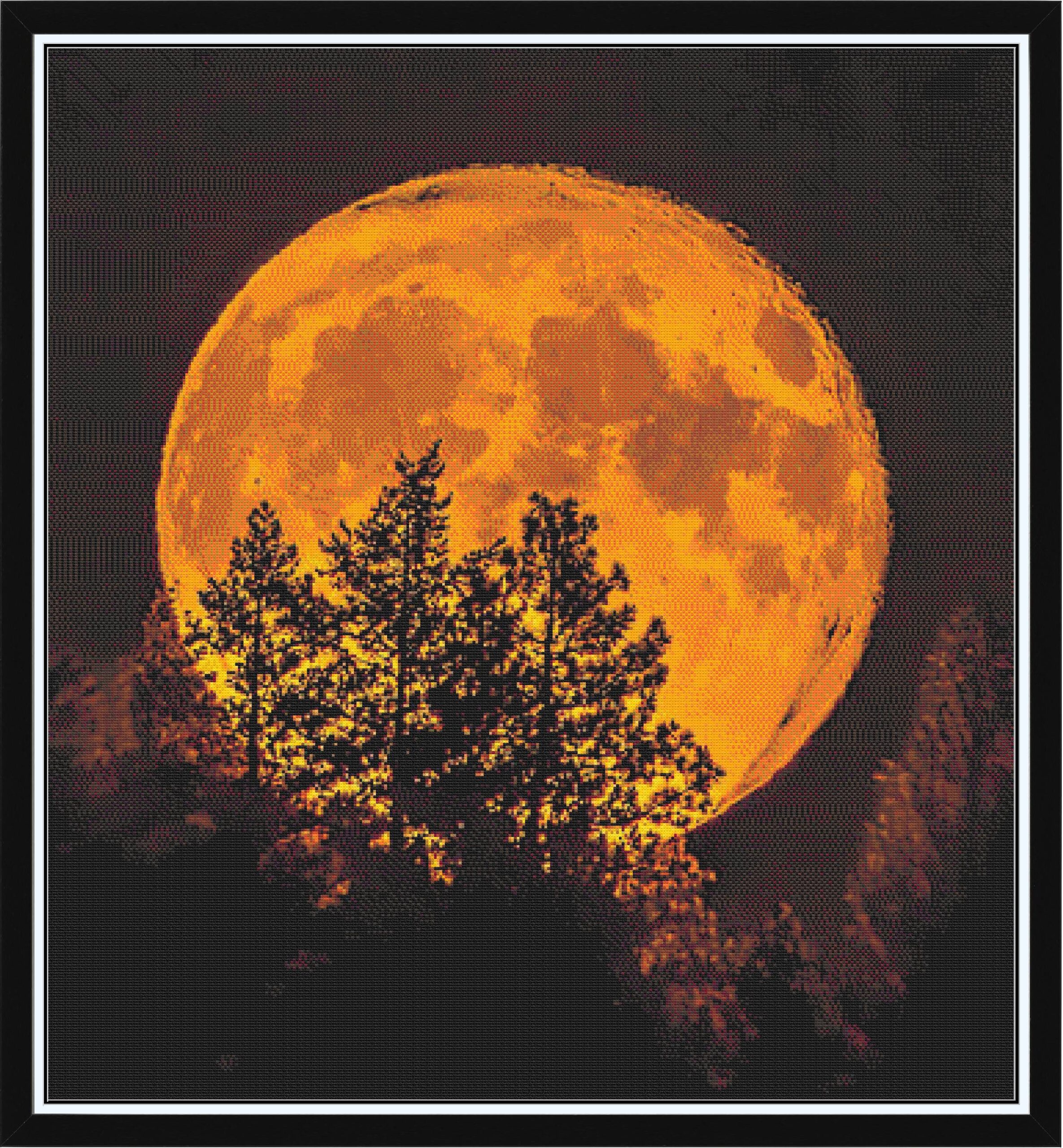 Moon Shot