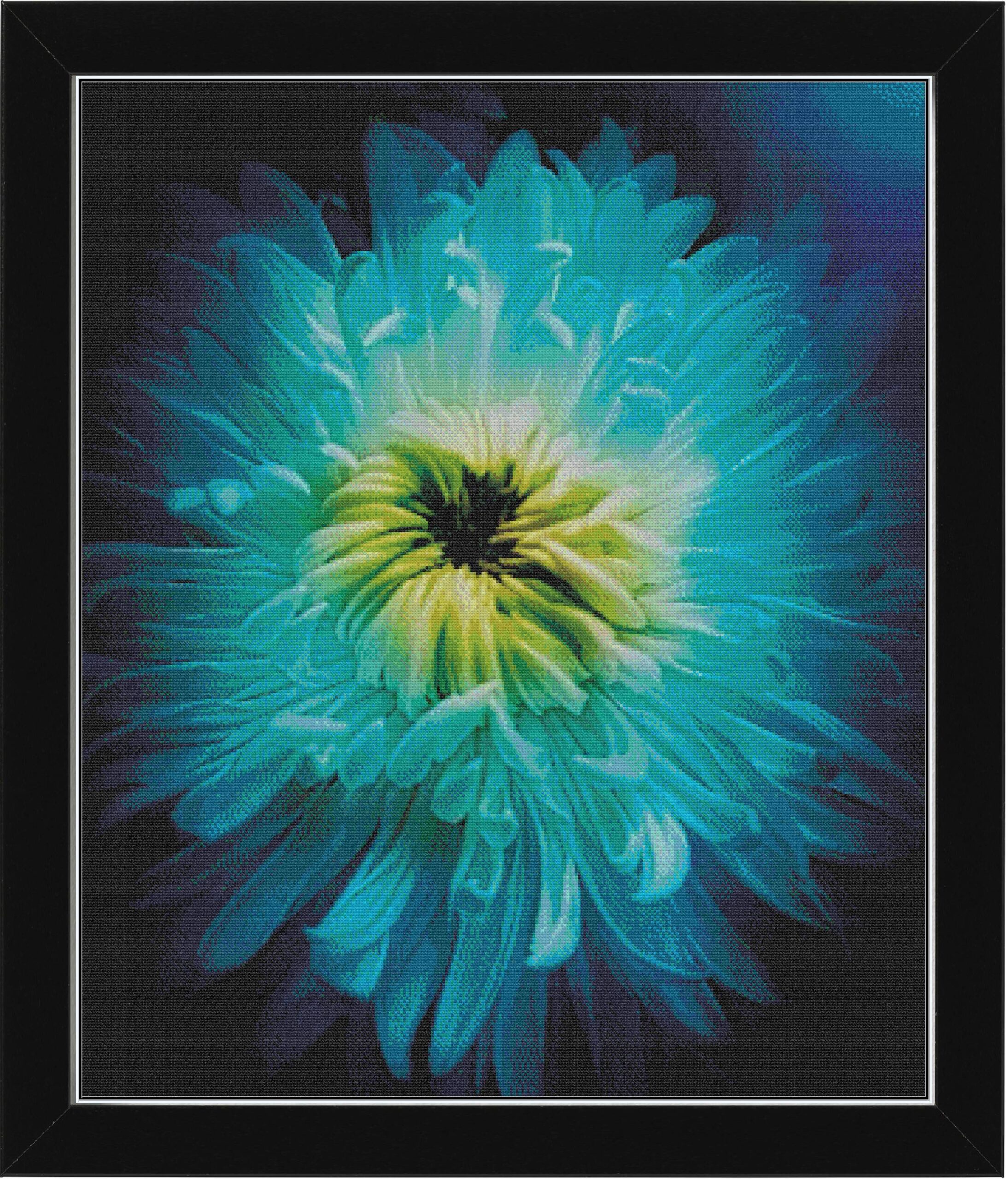 Chrysanthemum