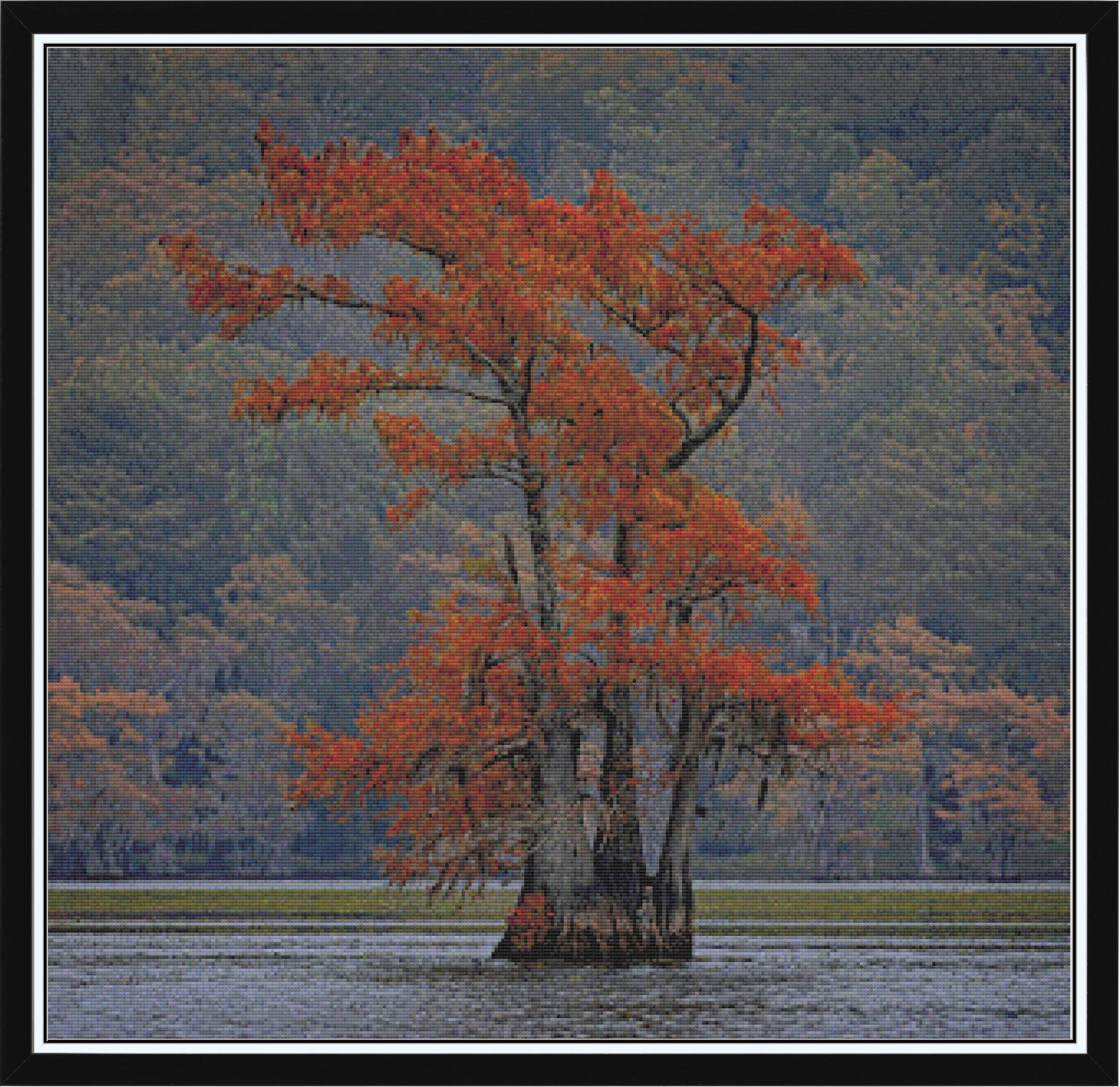 Fall Y'all - Caddo Lake