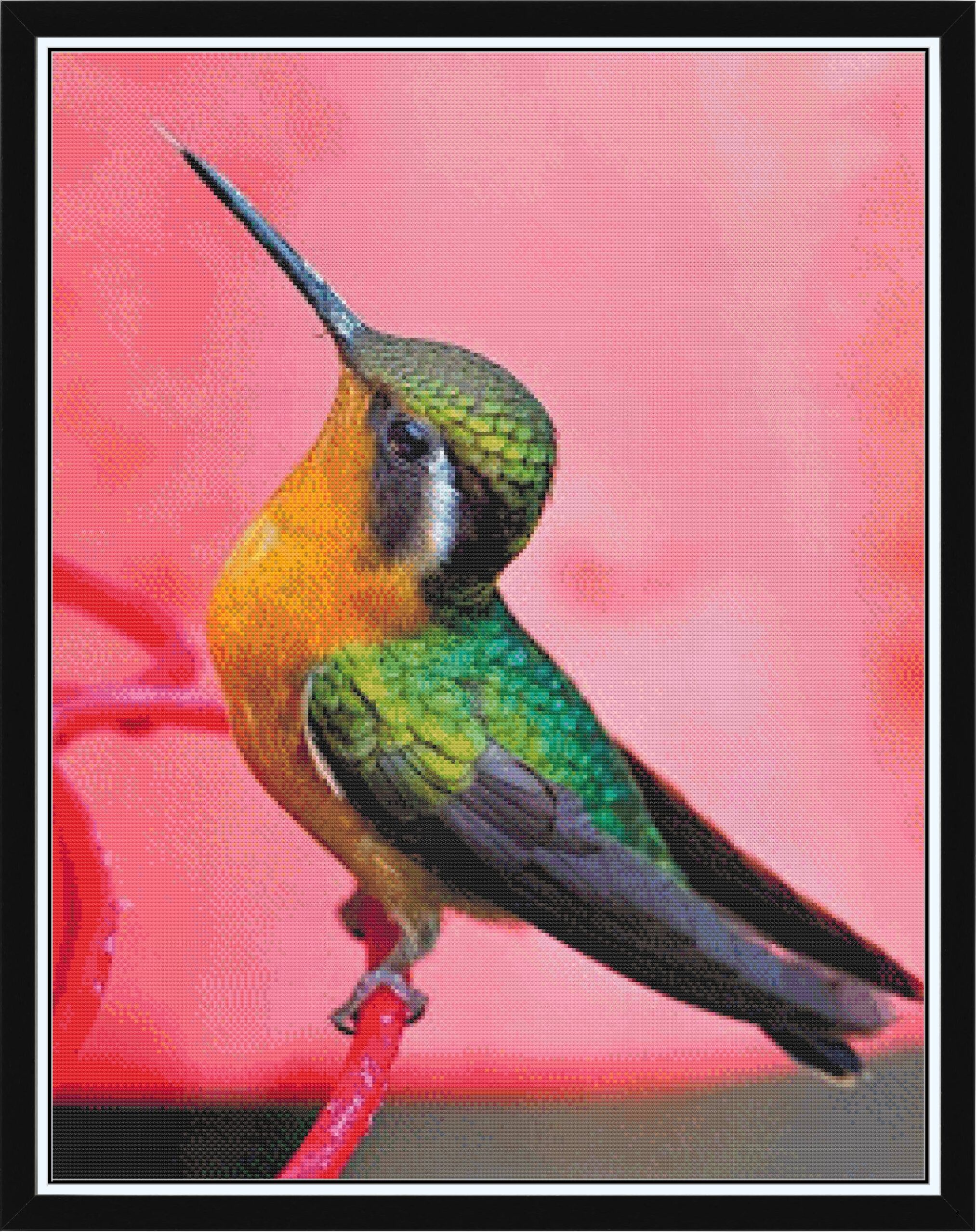 Hummingbird at Caddo River Glenwood, Arkansas