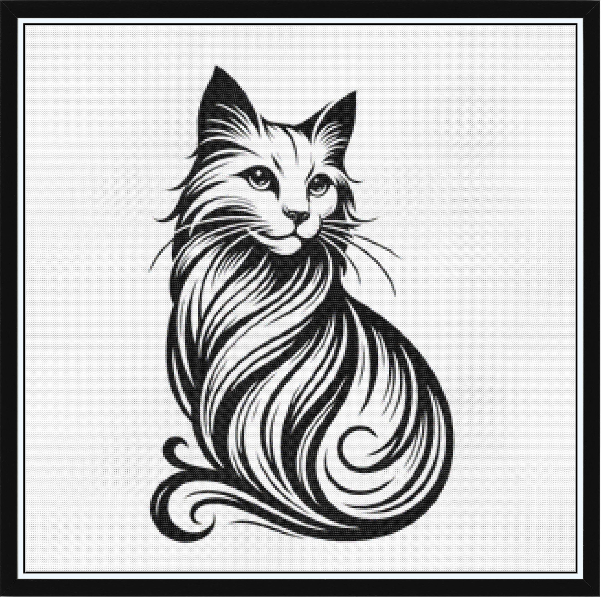 Black and White Cat